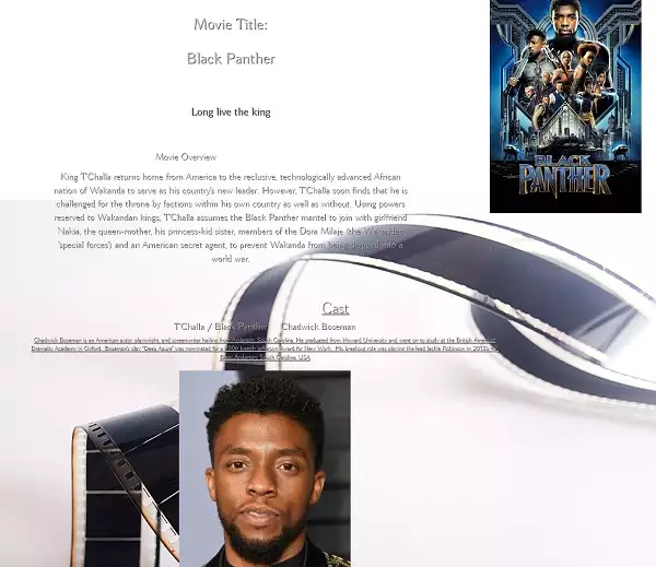 Black Panther Movie